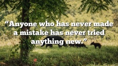“Anyone who has never made a mistake has never tried anything new.”