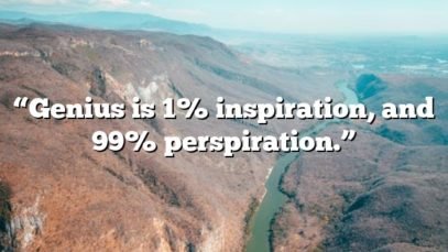 “Genius is 1% inspiration, and 99% perspiration.”