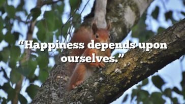 “Happiness depends upon ourselves.”