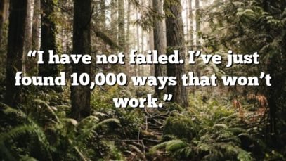 “I have not failed. I’ve just found 10,000 ways that won’t work.”