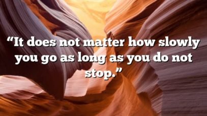 “It does not matter how slowly you go as long as you do not stop.”