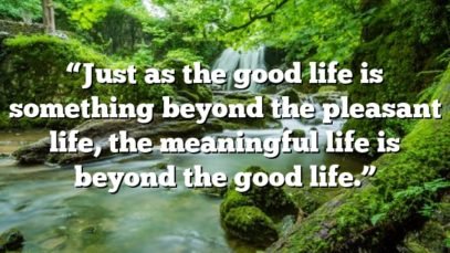 “Just as the good life is something beyond the pleasant life, the meaningful life is beyond the good life.”