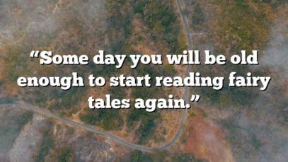 “Some day you will be old enough to start reading fairy tales again.”