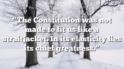 “The Constitution was not made to fit us like a straitjacket. In its elasticity lies its chief greatness.”