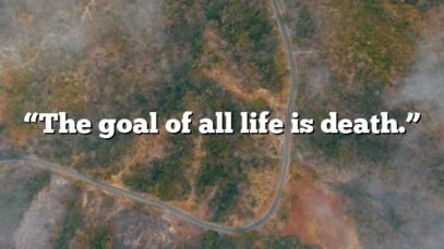 “The goal of all life is death.”