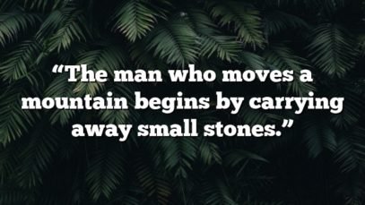 “The man who moves a mountain begins by carrying away small stones.”