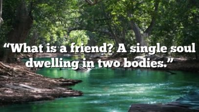 “What is a friend? A single soul dwelling in two bodies.”