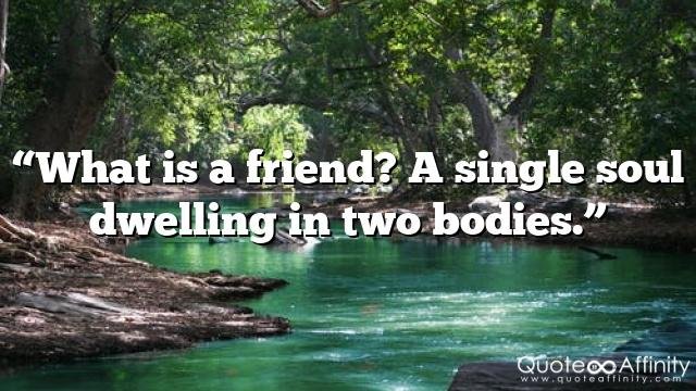 “What is a friend? A single soul dwelling in two bodies.”