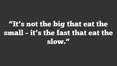 “It’s not the big that eat the small – it’s the fast that eat the slow.”